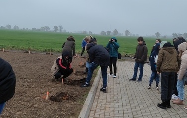 Sadzenie drzewek z okazji 104 rocznicy odzyskania przez Polskę Niepodległośc