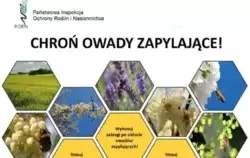 Zdjęcie do Zasady stosowania środk&oacute;w ochrony roślin &bdquo;w...