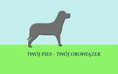 Zdjęcie do Pilny Komunikat dla właścicieli czworonog&oacute;w‼