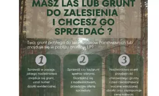 Zdjęcie do Nadleśnictwo Głog&oacute;w jest zainteresowane zakupem las&oacute;w i grunt&oacute;w przeznaczonych do zalesienia.
