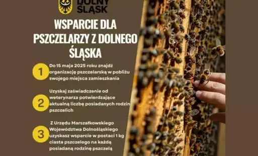 Wsparcie dla pszczelarzy