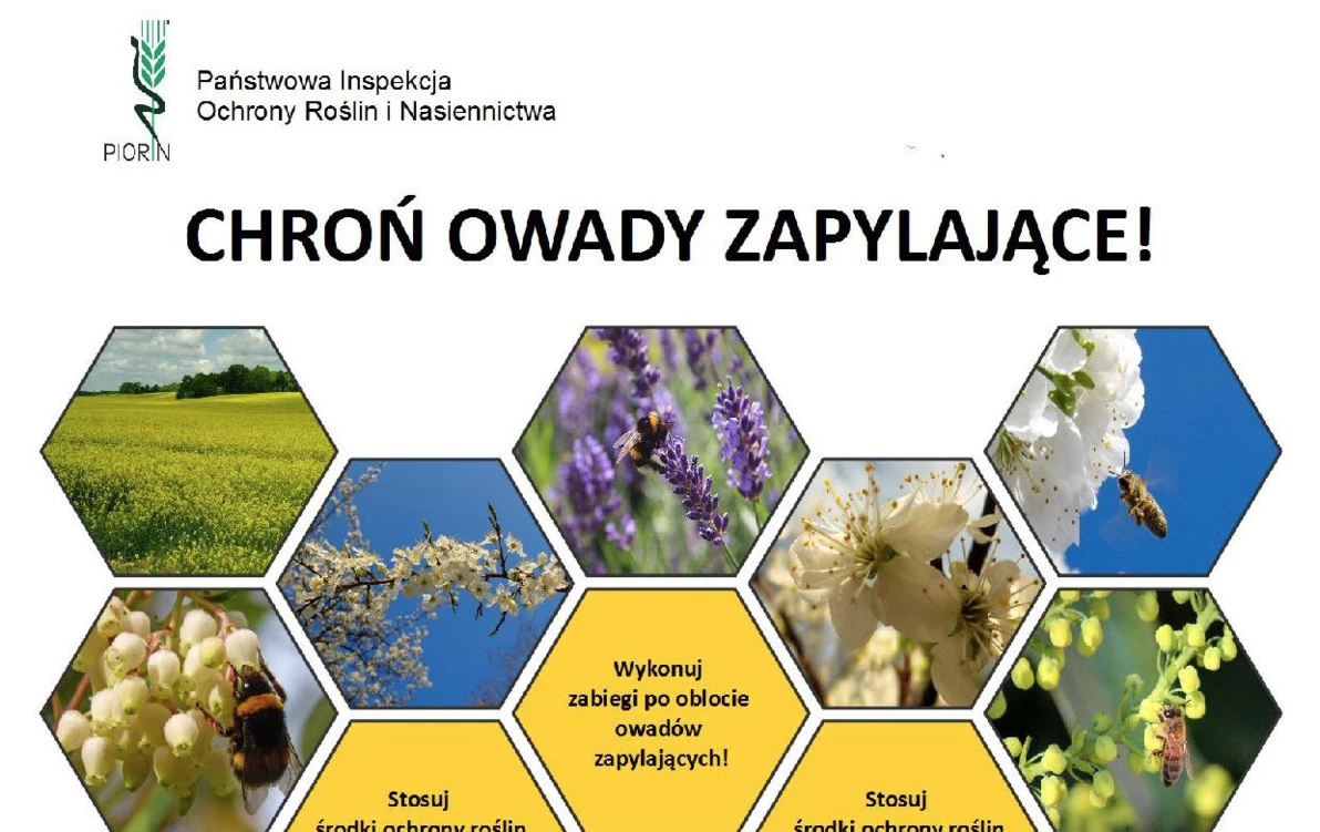 Zdjęcie do Zasady stosowania środk&oacute;w ochrony roślin &bdquo;w pigułce&rdquo;