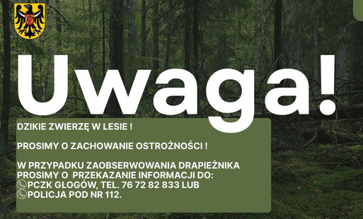 uwaga, dzikie zwierzę 