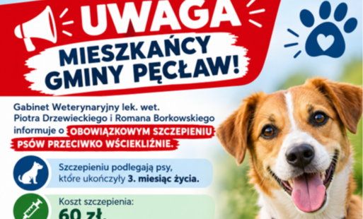 szczepienie psów